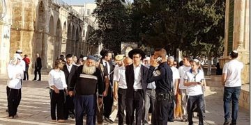 Pendatang Yahudi ceroboh masuk al-Aqsa, mulakan kempen memperingati “kemusnahan kuil”