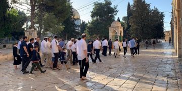 Tentera Zionis, pendatang Yahudi ceroboh masuk al-Aqsa