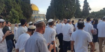 Pendatang Yahudi lakukan ritual Talmud di Masjid al-Aqsa